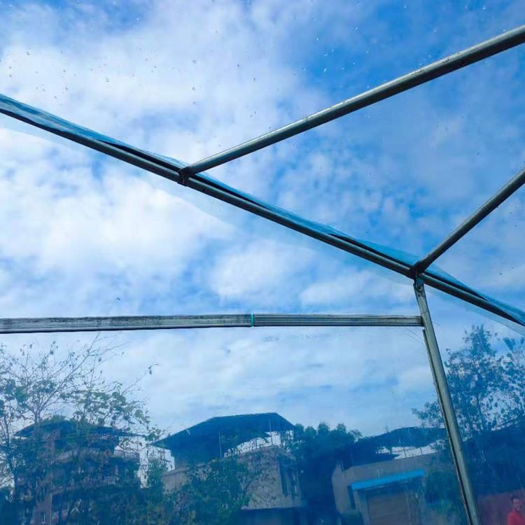 single-span plastic film greenhouse single-span plastic film greenhouse