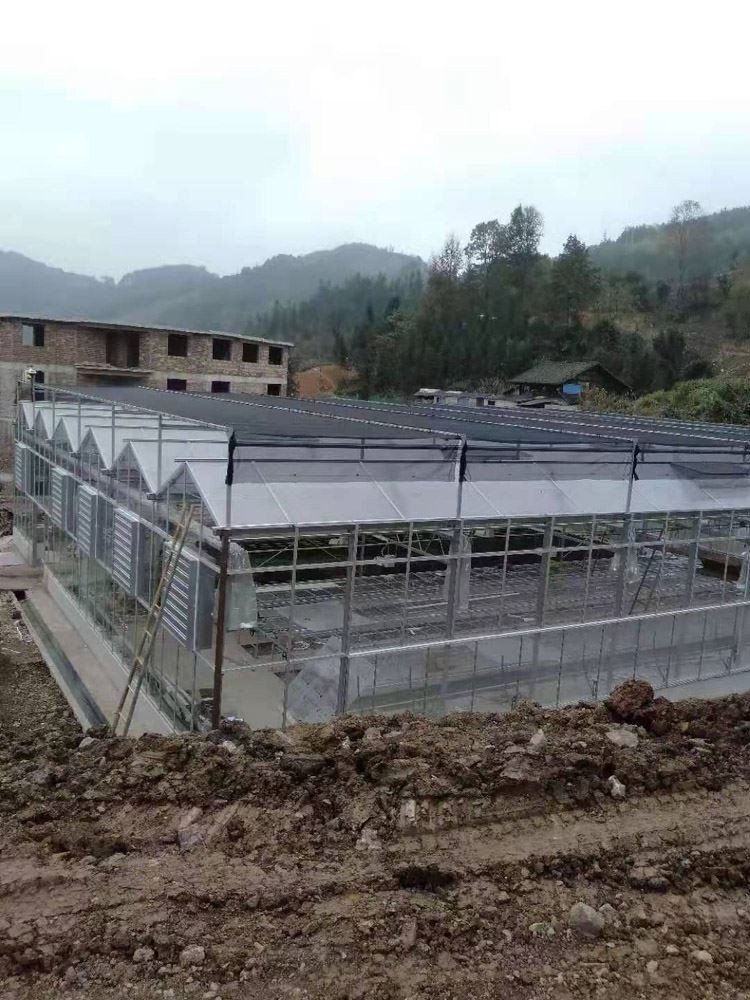 Glass Greenhouse Glass Greenhouse