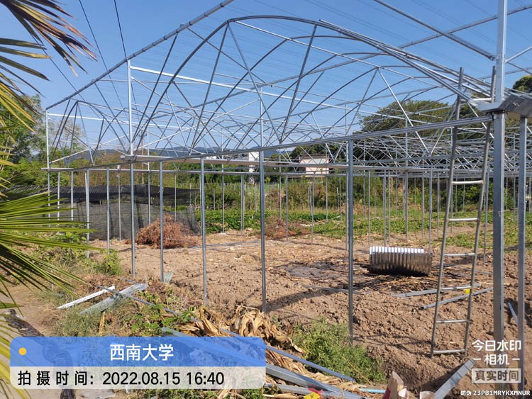 New smart greenhouse