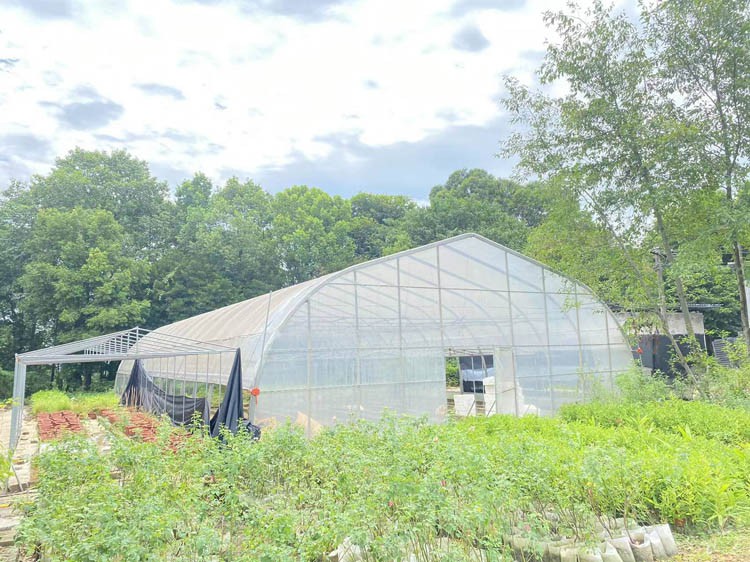 The construction of fully automatic solar greenhouses can save a lot of cost by applying for national agricultural funds The construction of fully automatic solar greenhouses can save a lot of cost by applying for national agricultural funds