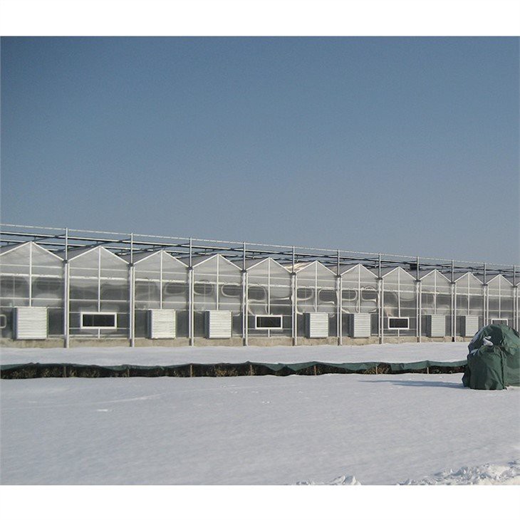 pc greenhouse strawberries manufacture