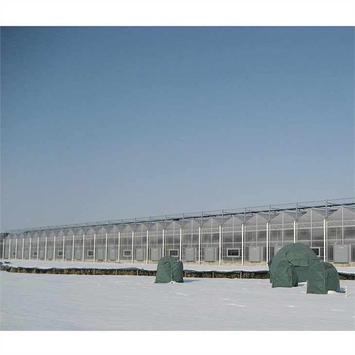 pc greenhouse strawberries price