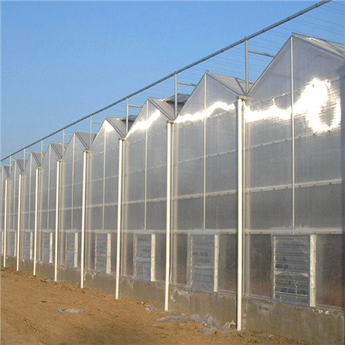 Ua liaj ua teb Multi-span Greenhouse
