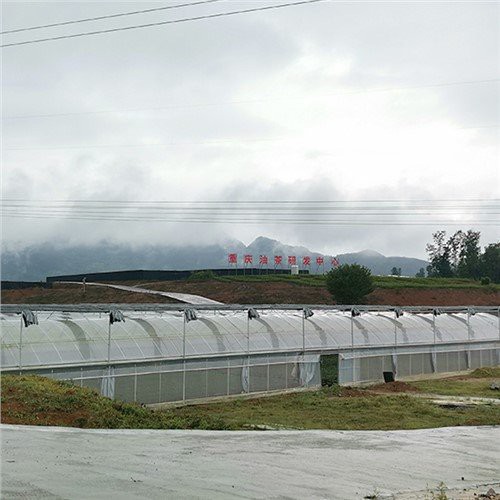 Reinforced Greenhouse Plastic
